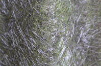 Carnachuin fibreglass roof work