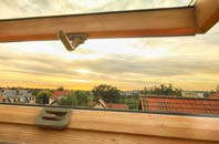 rated Carnachuin roof window companies